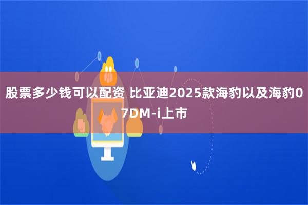 股票多少钱可以配资 比亚迪2025款海豹以及海豹07DM-i上市