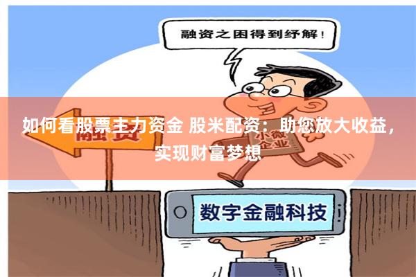如何看股票主力资金 股米配资：助您放大收益，实现财富梦想